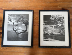 Signed Pair Vintage 1942 Photos Cohens Pic Store Washington Monument/Jefferson