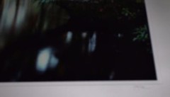 Photograph – L. Ed. (50), Framed 30″ x 40″ Loxahatchee River, FL, Jeff Ripple