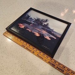 Black Framed Art Photo Hawaii Volcano Lava Signed G Brad Lewis 12×15″ Photograph