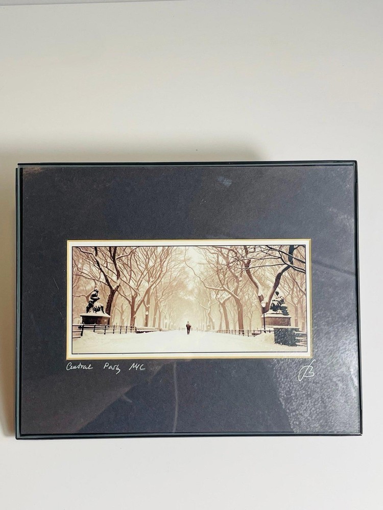 Central Park NYC Printed Photo Art