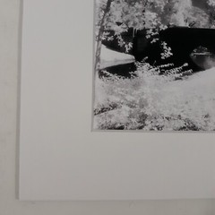 White Mat Photo Landscape Park Infrared Photography Bridge Trees Art Print