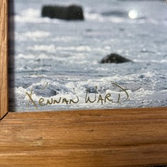 Kennan Ward Photography Bear On Rock On Water 5×7 Photograph Signed Wood Framed