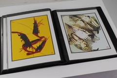 Photo Album – FISH MARKET Art Original Photography 40 – 5″ x 7″ Art Prints