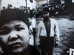 🎈Daido Moriyama – Memories of a Dog Signed & Limited Numbered Ed, English 2004