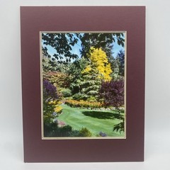 Matted Flower Garden Landscape Photo Print 11 X 14 Wall Art Gallery Decor