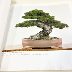 Nihon Bonsai Sakufu Ten 5th 1980 potted plants Japanese tradition art Photo Book