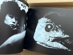 SIGNED! Daido Moriyama – SLIDE (Right), Japan, Hardcover, Slipcase, NEW