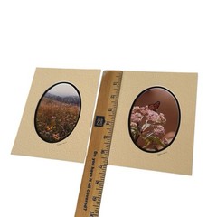 Barry Gamow signed Wild Flowers & Butterfly Nature Photography Art 5″ x 7″ Mated