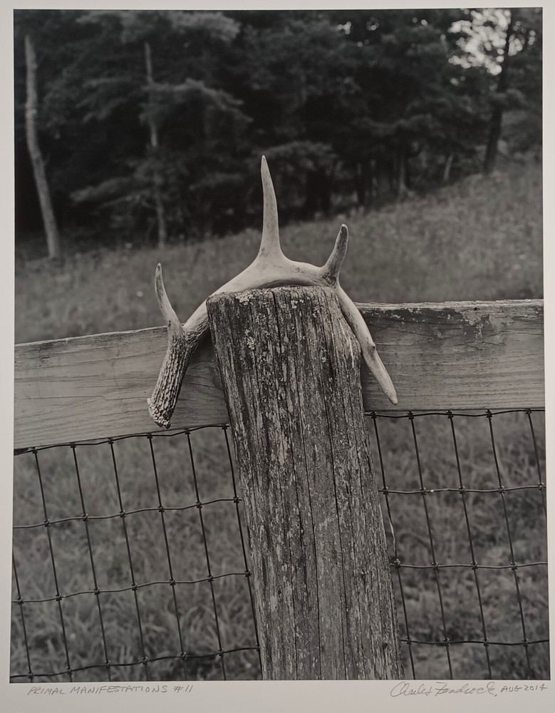 Large Format Black & White Photo Primal Manifestation #11 by Charles Fendrock