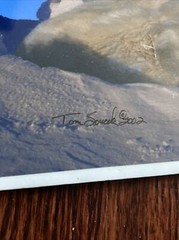 Signed Tom Soucek Polar Bear Cub Photograph Anchorage Alaska 8×12
