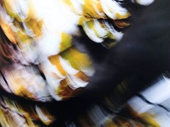 Jean Claude Chastaing – Photo Original – Digital – Abstraction 123
