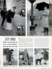 Nina LEEN: City Dogs, NYC, 1944 / PUBLISHED IN LIFE magazine/ (9) VINTAGE PRINTS