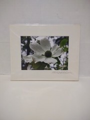 Signed Michael A Peterson Photography Dogwood Flat Mounted Canvas Gatorboard