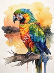 4 Digital Images Macaw Parrot Large Bird Picture Wallpaper Desktop Wall Art B49