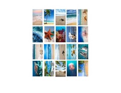 Set of 20 4×6 in. Beach and Ocean Photographs Inspirational Prints