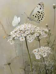 Digital Image Picture Photo Wallpaper Background Desktop AI Art Sample Product
