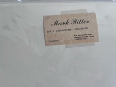 Mark Ritter Signed Silver Gelatin Print: «The Y Chromosome” Vintage Fine Art B&W