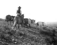 The Stray Man Texas (1908) 8″x10″ Cowboy Print Erwin Smith Photograph western
