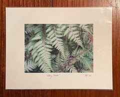 Original photographic print titled «May Ferns» from 2006 by Michael Blumenstock