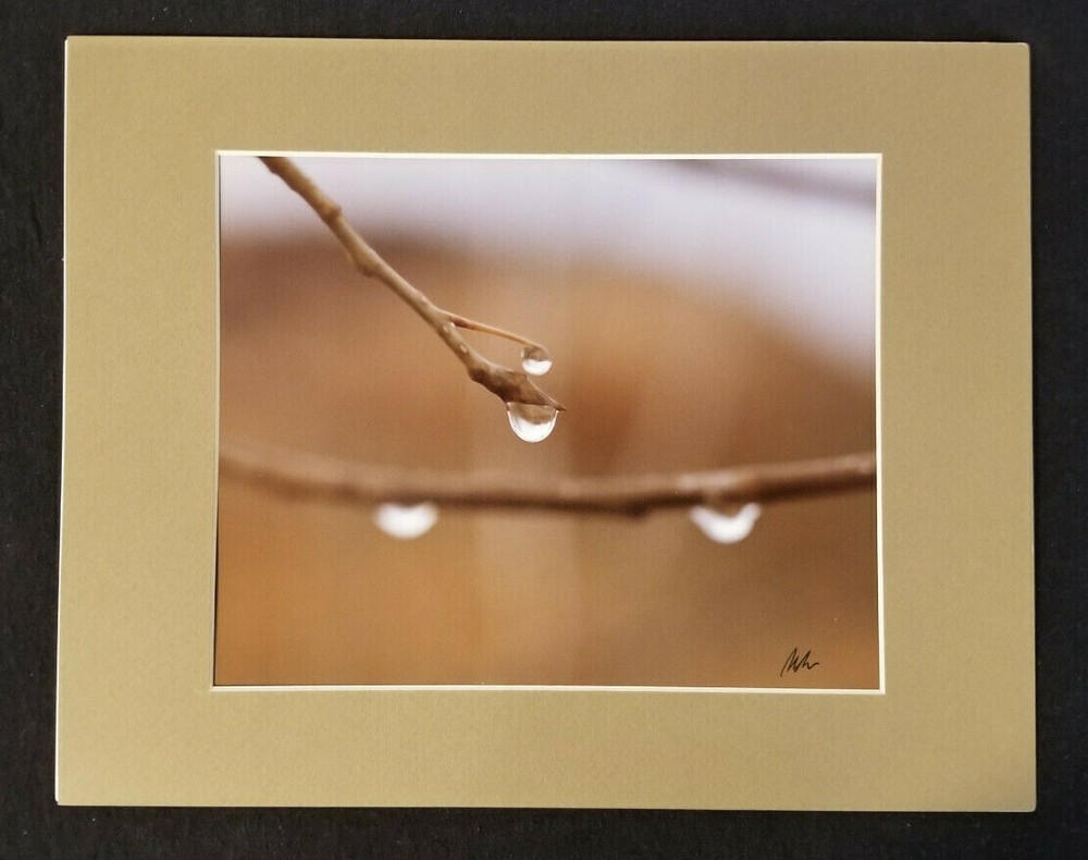 Signed Original Photograph by Photographer Wiley: 1980’s – in Plastic Box Frame