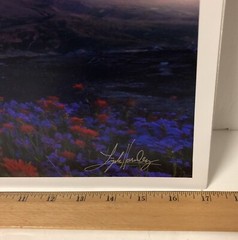 ART Original PHOTO Photograph Mt St Helens Washington Signed By Artist 17 x 11