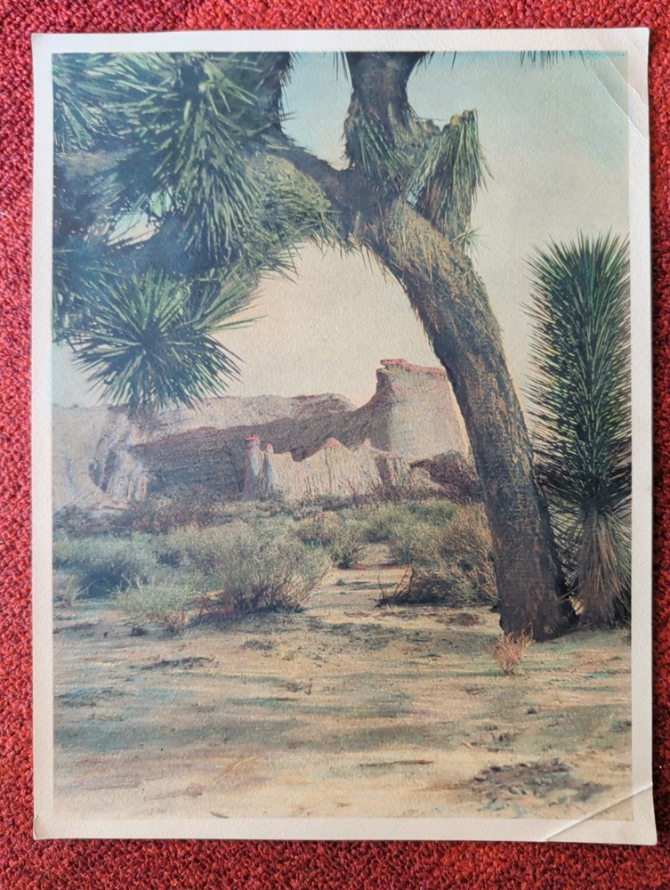 Antique Photo RED ROCK CANYON, Earl V. Lewis Co., LA, Hand Tinted Joshua Tree