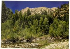 ACEO 4-pack Photographs, Mountains Trees Grass Seasons, River,CurvedTree, Color