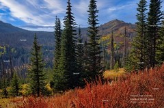 Hazard Lake Country Fall Color McCall Idaho Landscape Photo Poster Print HL08