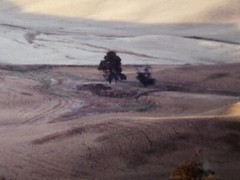 ART – Original Signed John Clement 35mm Photograph 16×13 Framed Modern Landscape