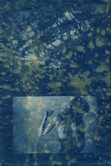 OOAK A4 CYANOTYPE Printmaking Alt Photography TONER TEST Nude Razor Wire Vintage