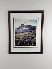 Signed Limited Edition Aaron Goldenberg 35mm Art Photograph, Utah 39×24 Framed