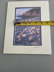 Photography Print By John T Slonina Matted 8×10 Acadia National Park-Otter Cove