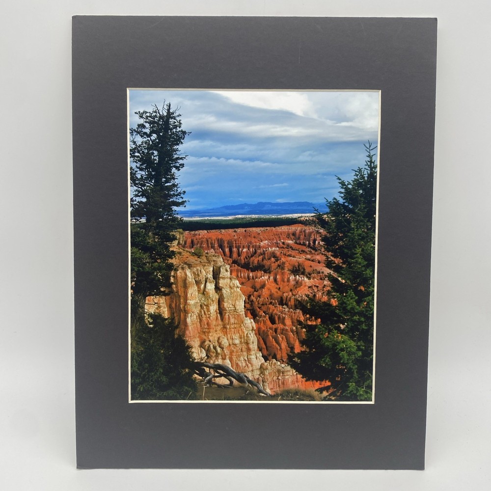 Matted Southwest Landscape Photo Print 11 X 14 Wall Art Gallery Decor