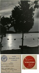 Tree in sunset Manasquan NJ antique photo E. F. Clark