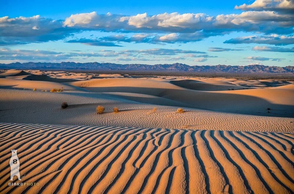 Glamis Sand Dunes Photo Prints, Imperial / Algodones Dunes, Southern California