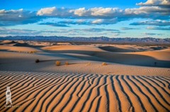 Glamis Sand Dunes Photo Prints, Imperial / Algodones Dunes, Southern California