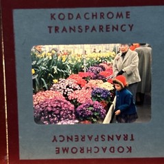 Lot Of 40 1950’s Red Border Kodachrome Military Family Summer 35mm Color Slides