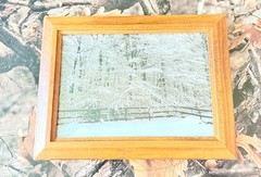 Original photograph, ‘Spiderweb of Snow’ by Serene Scenes in Maine, 5×7