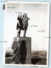 Mols Bjerge 1946 – Denmark 1950s – Photo 6x8cm