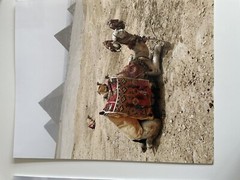 Set of 2 Egyptian Pyramid Travel Photos 8×10