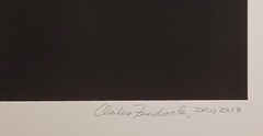 Original Large Format Black & White Photo Tilapia Skeleton by Charles Fendrock