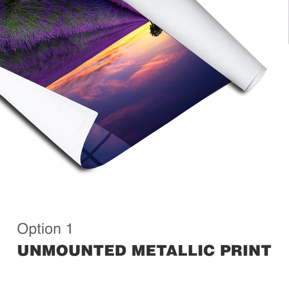 Original Limited Edition Acrylic Mounted Metallic Fine Art Photograph