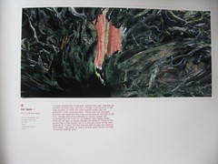 Photo Exhibit Book Iwahashi Takashi The Rockies from Alaska to Mexico 1994-1997