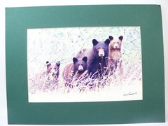 Gerry Lamarre Wildlife Photograph Print Brown Bear Family Matted 16″ x 12″