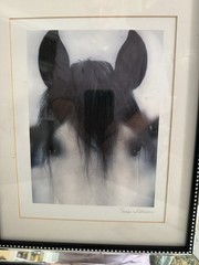 Susan Williams Print Equis: Celebrate The Spirit Of The Horse Framed & Signed