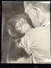 Stunning Vintage Photos And Prints By DR .R .R . La Pelle Philadelphia C. 1950.