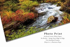 Spearfish Canyon South Dakota Creek Black Hills Landscape Photography Print