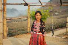 Set of 2 VIETNAM SERIES Fine Art Prints Collection 8 x 12 Color Photo Art Prints