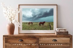 Horses and Thunderstorm on Stormy Day in Colorado Photo Print – Unframed