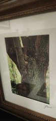 Luciano-Mario Duse Signed Numbered Christ In Tree